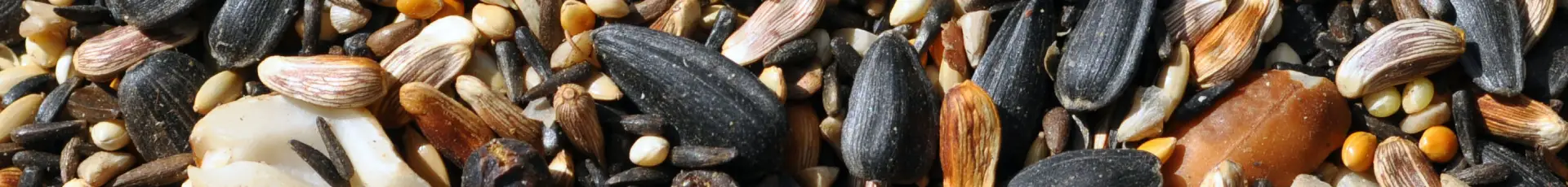 Semințe hobby legume